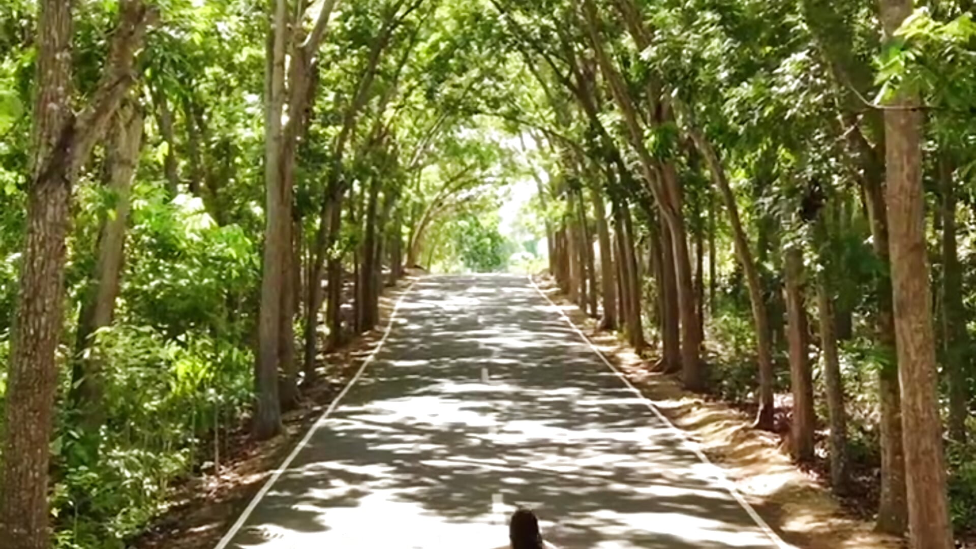 The cool green side of the Philippines 🇵🇭 ❤️😍 - video di AsianSweetMilf modella di cam