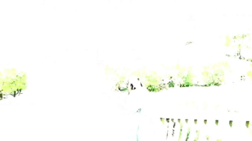 profile-intro-video-1707393573 - βίντεο μοντέλου AsianSweetMilf