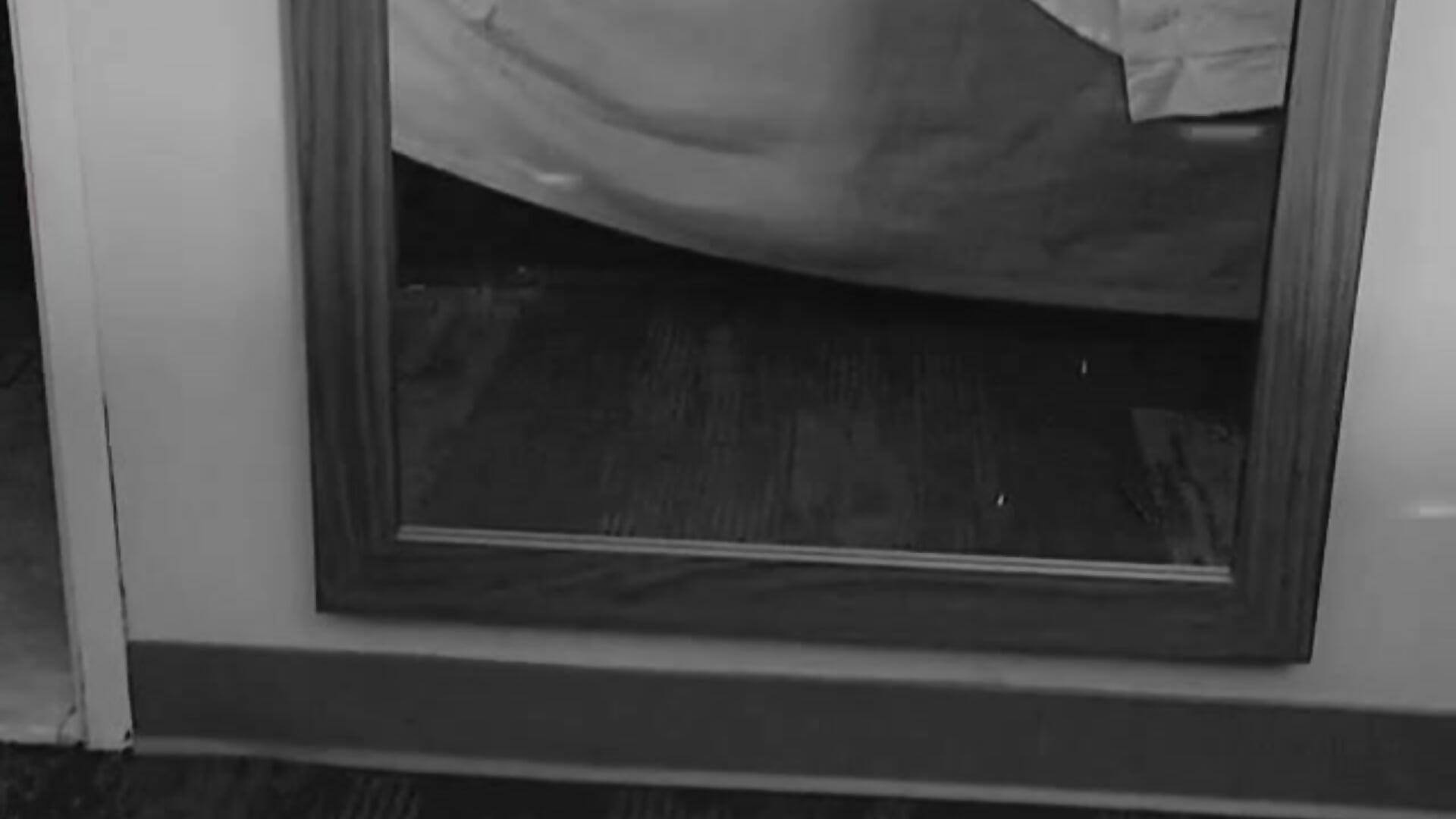 Kitty wild – video af 69ely69@xh