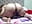 enjoy and  carees me   mi  love - video by mature_beautiful cam model