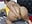 FUCK ME  ASS,  SO  HOOT  LOVE - video by mature_beautiful cam model