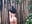showering outdoors 💦🍃 - video by RoseFerrera cam model