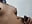 WhatsApp Video 2025-01-04 at 17,38,15_29572b19 - video by TS_Cummer cam model