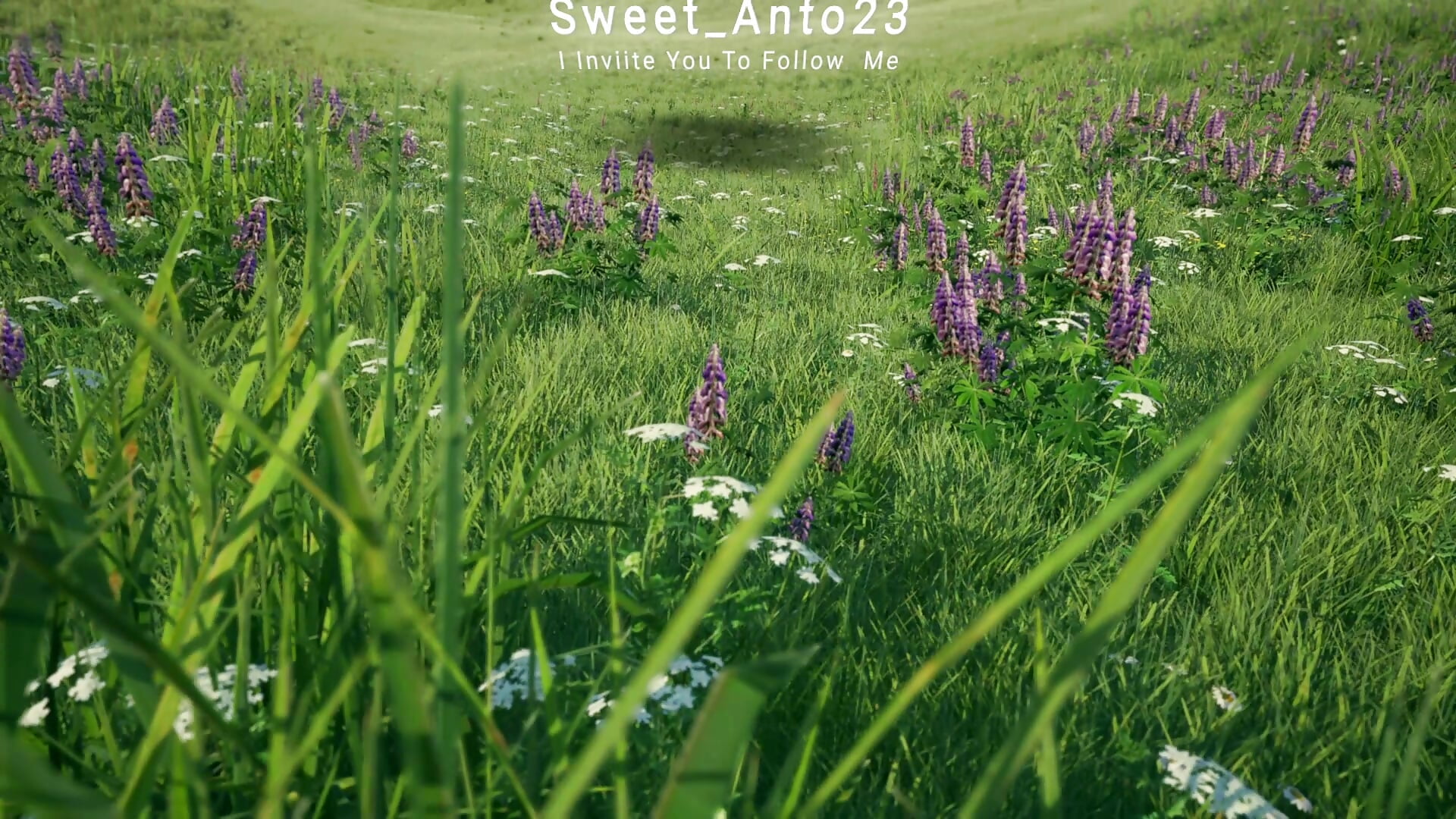 Insta FollowMe – видео вебкам-модели Anto_herrera