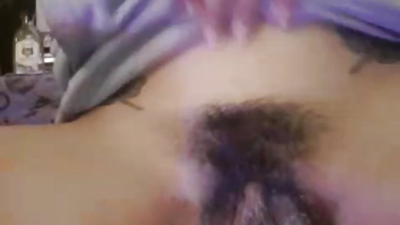 pussy cat