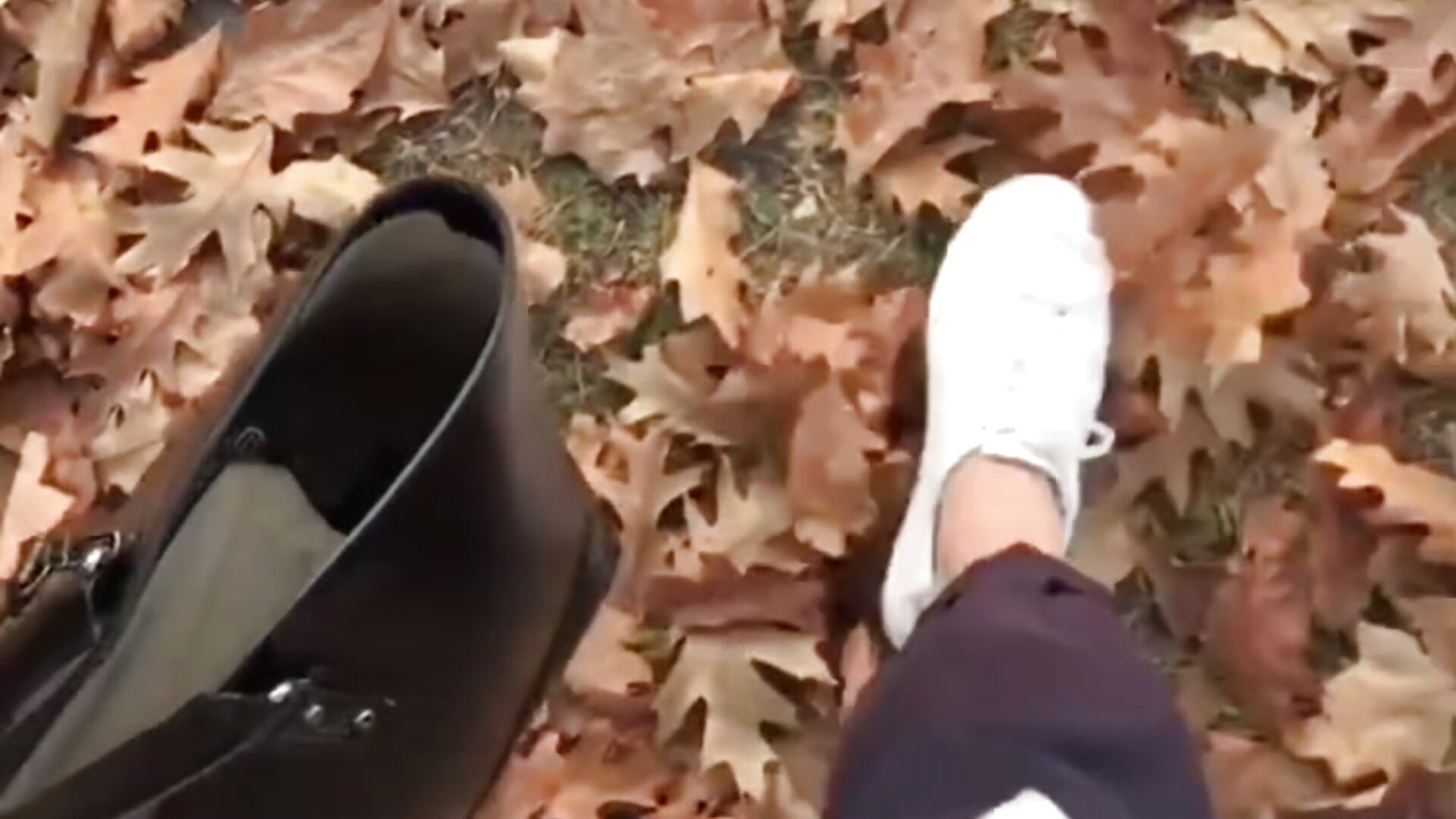 Let's remember autumn - βίντεο μοντέλου Var_Kiss