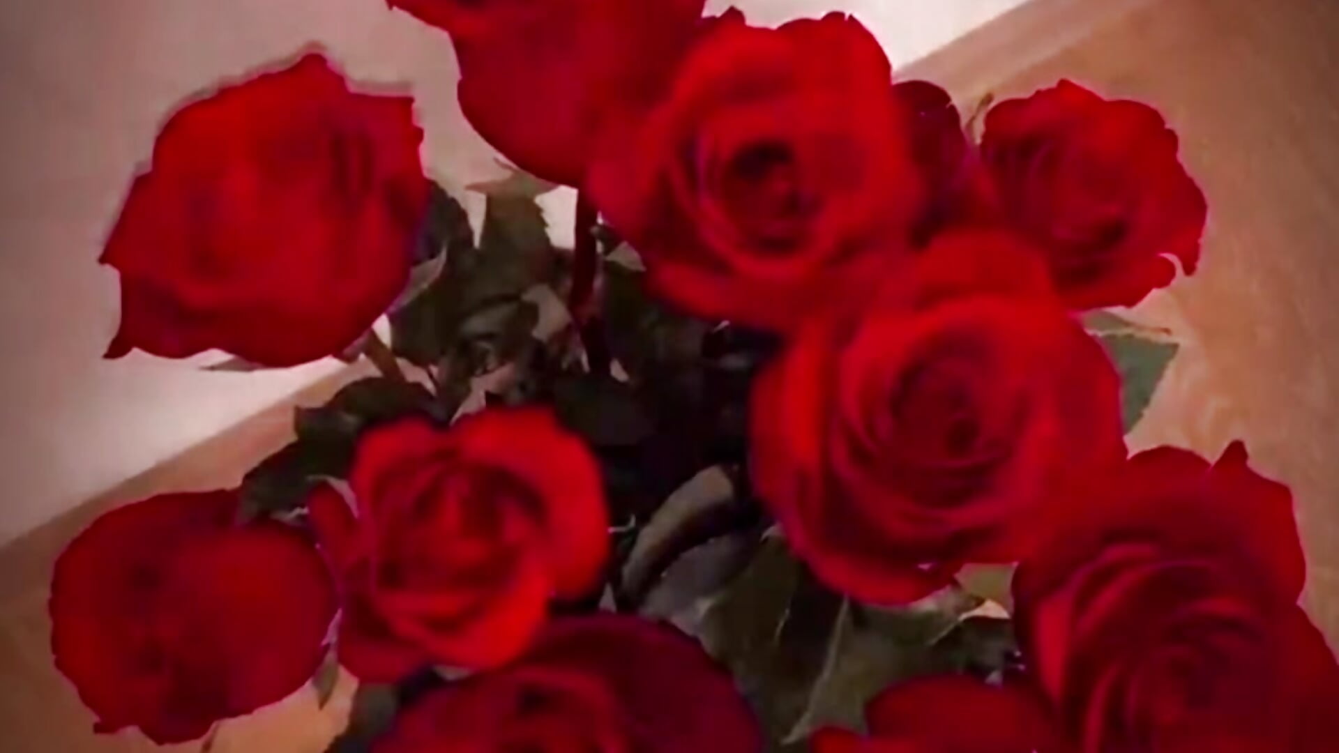 Each person has his own unique color of the soul,the color of the heart... - Var_Kiss主播的视频