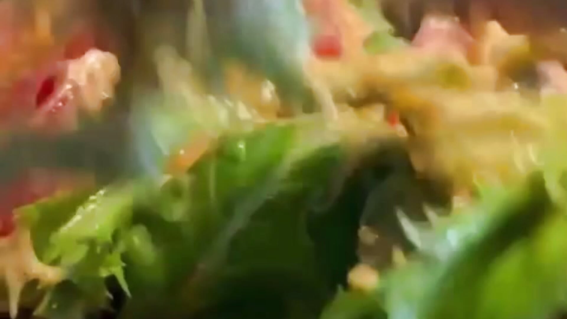 fresh salad - video by Var_Kiss cam model