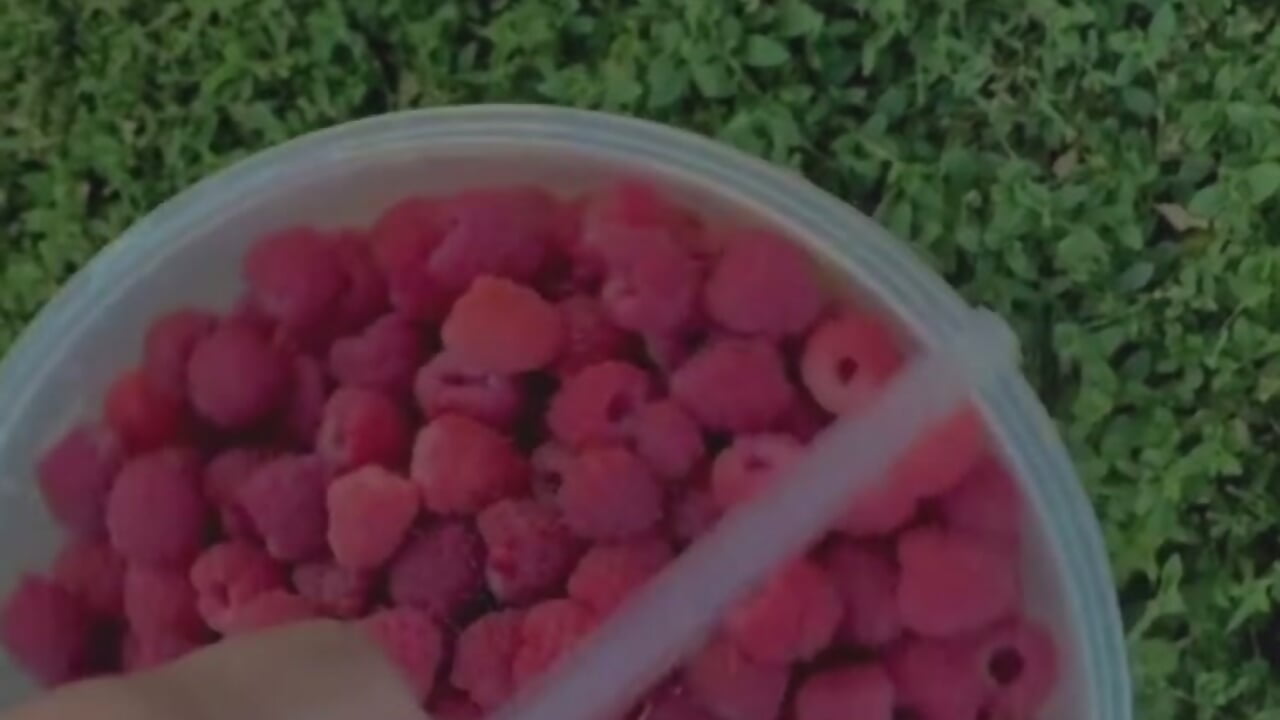 Delicious cakes require the choicest berries - Var_Kiss主播的视频