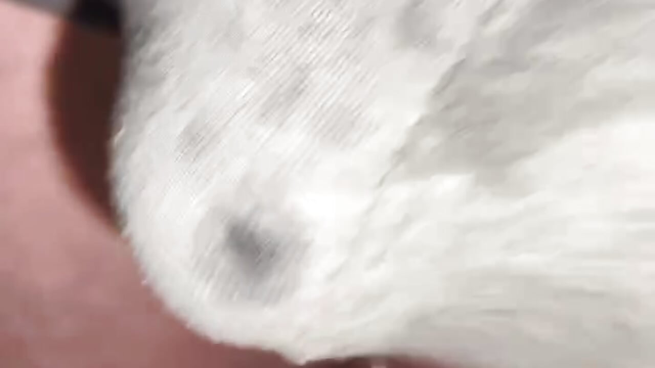 Cum inside underwear - MixedLight adlı kamera modelinin videosu