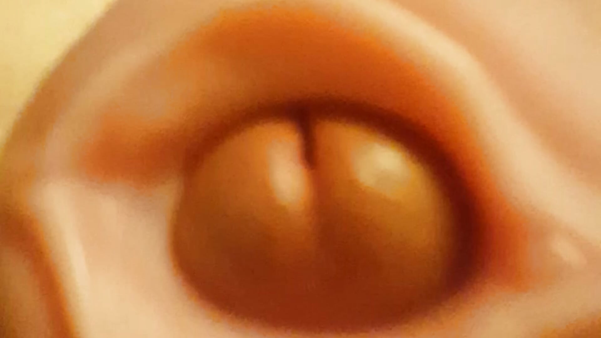 reverse_fleshlight_creampie - video by anon_1962 cam model