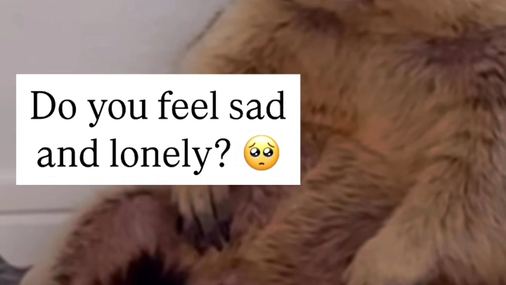 Linda will cheer you up quickly! - Video von LindyVSAndy Cam-Model