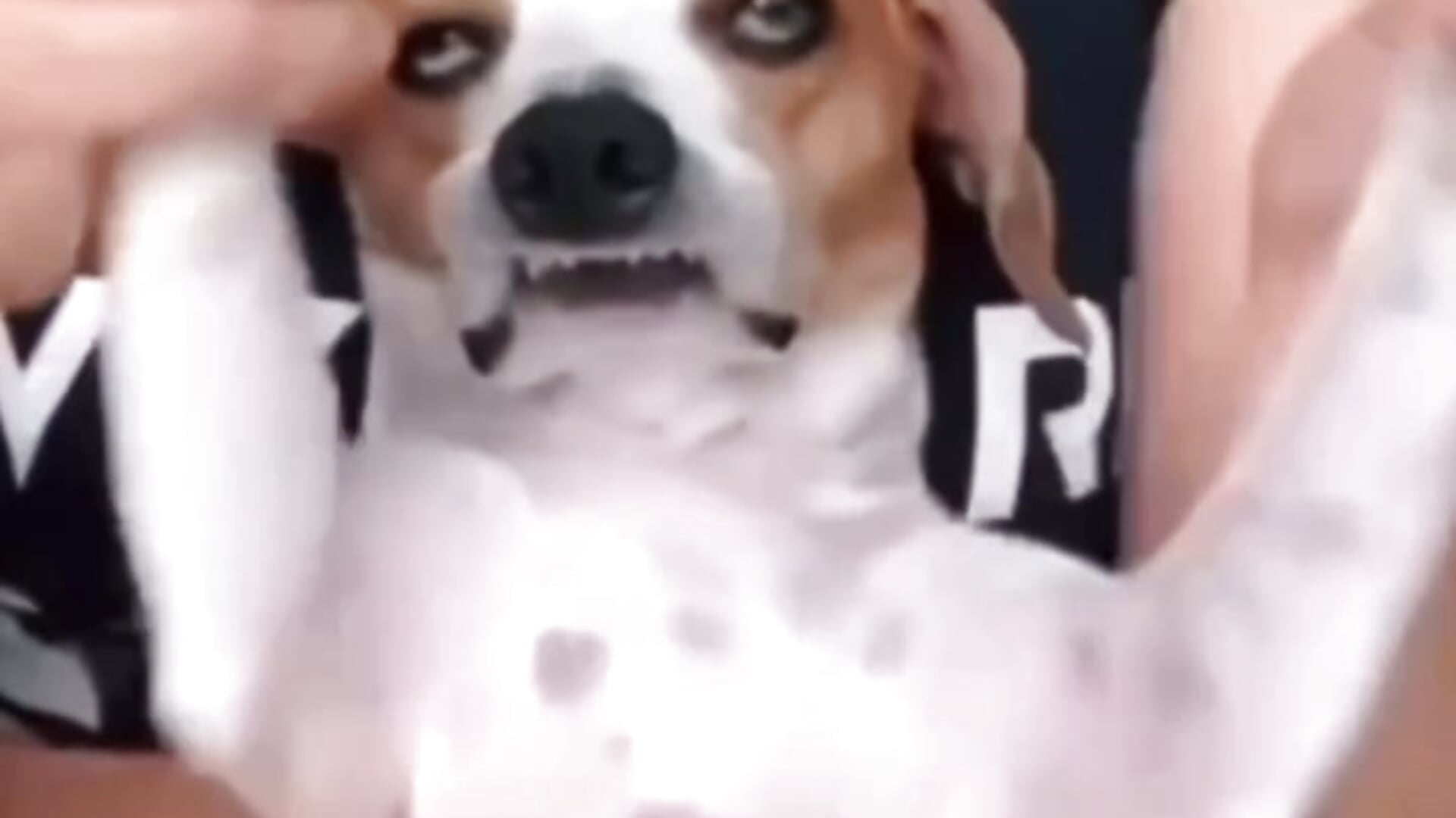 visit my room bb)) - Video von LindyVSAndy Cam-Model