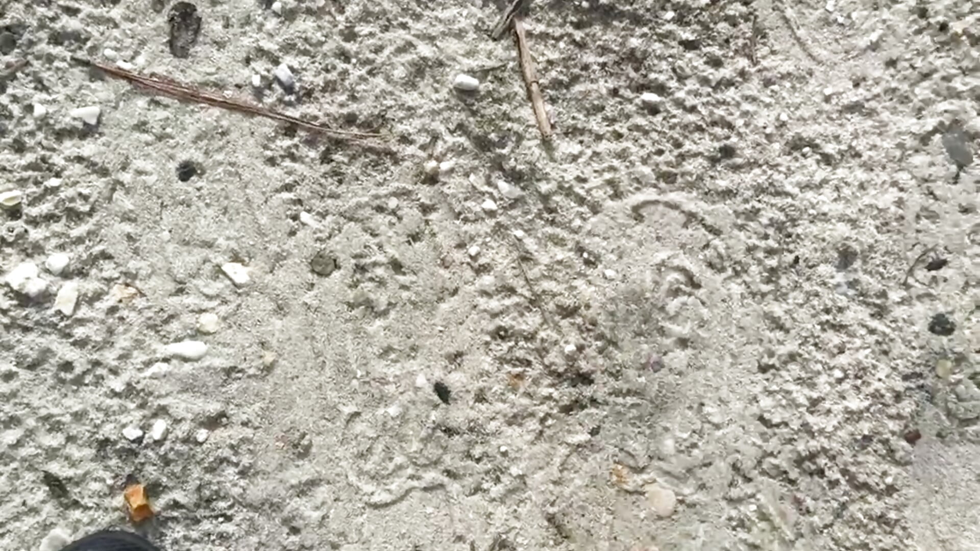 Leaving a print everywhere i go! - video by cowgirlc cam model