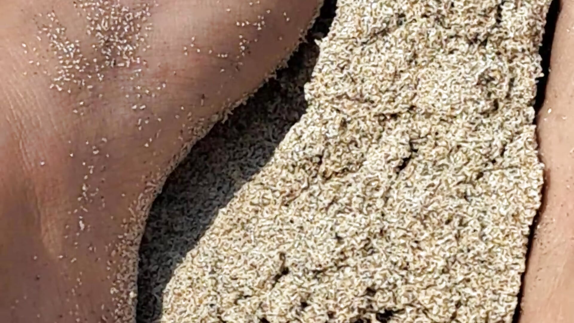 This one's for all my feet lovers! - video by cowgirlc cam model