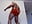 Dante dances and undresses off tight, red boxers and then shows his hairy ass very, very close. - Video von Laura3666a Cam-Model