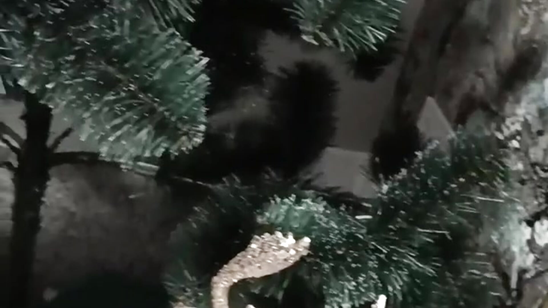 happy new year <3 - video di BabyFlowerr modella di cam