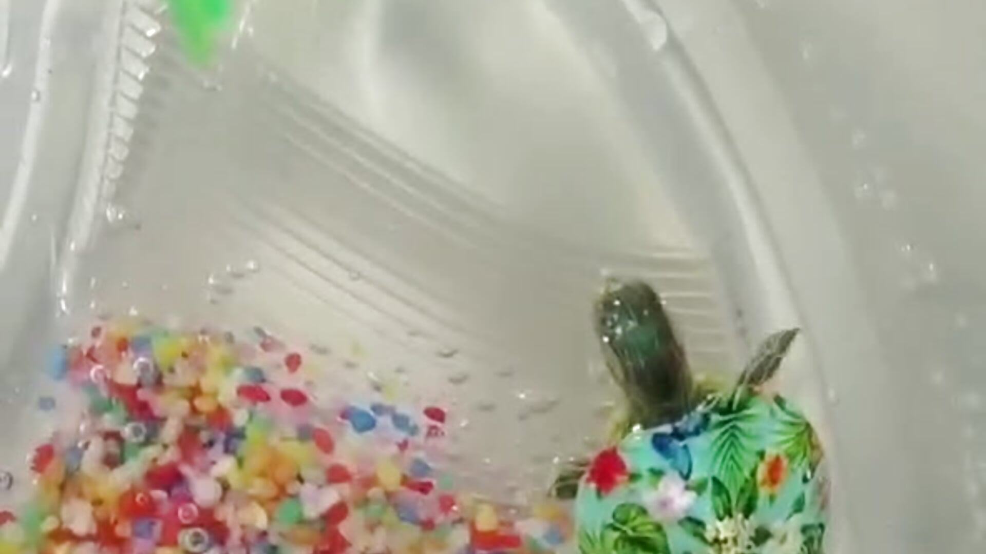 我的宝贝