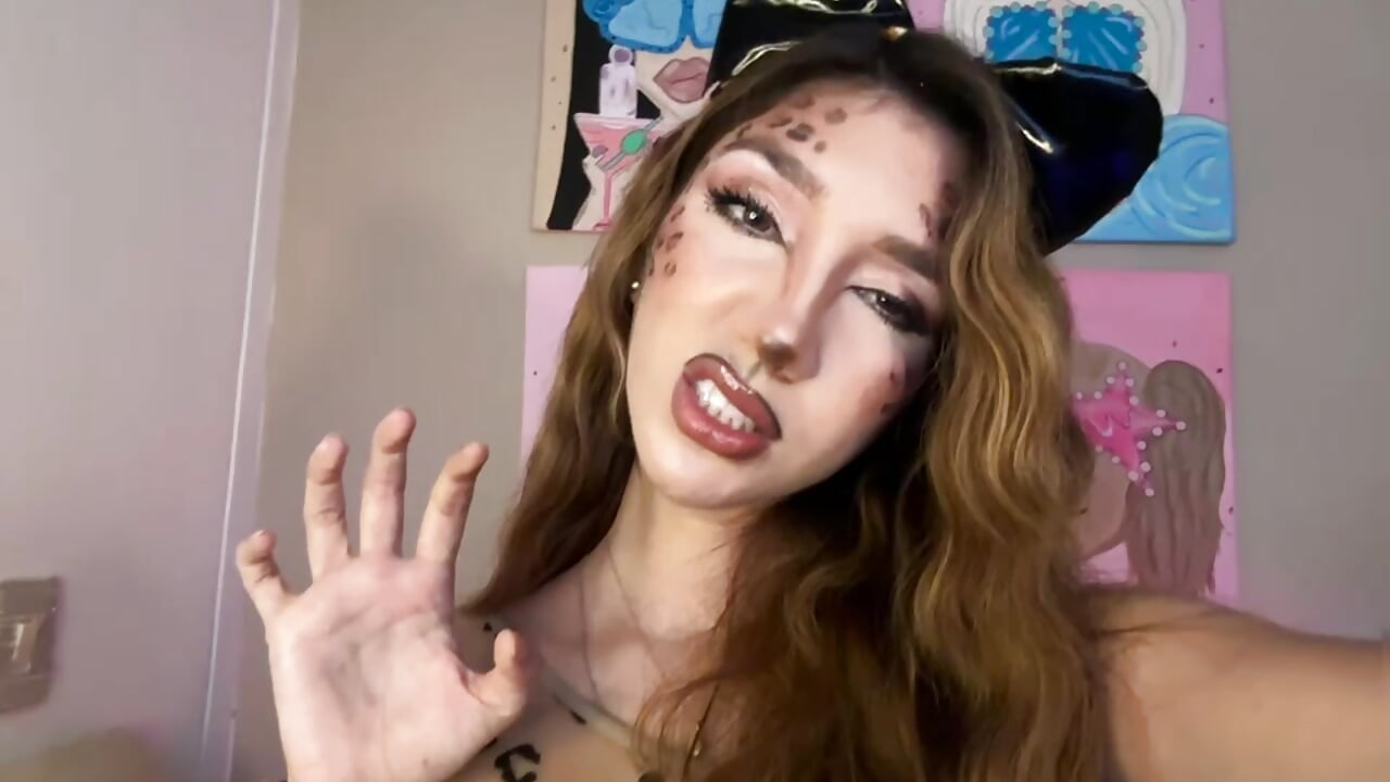 a kitten