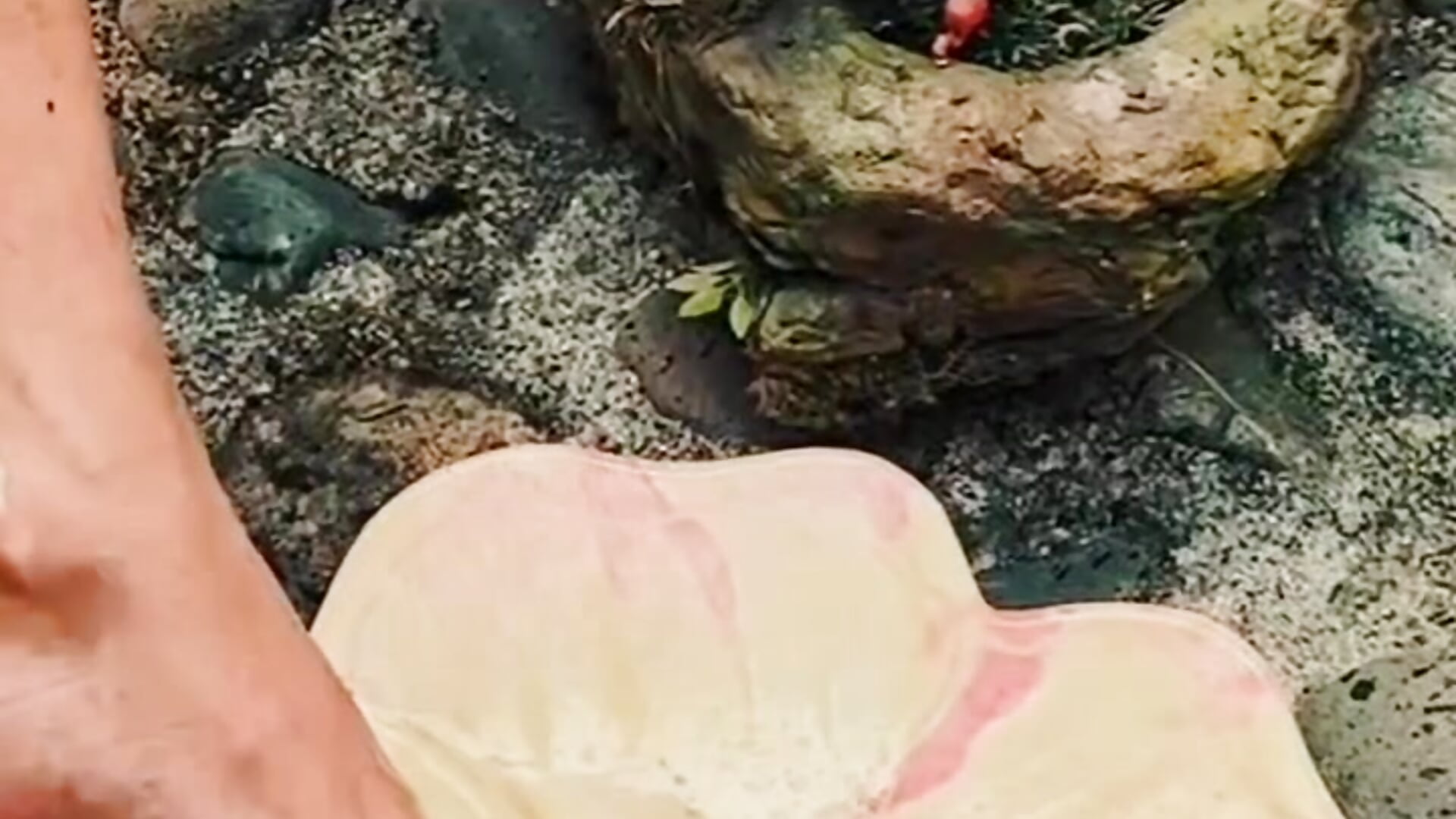 Feet shower - MrFrank_tattoo adlı kamera modelinin videosu