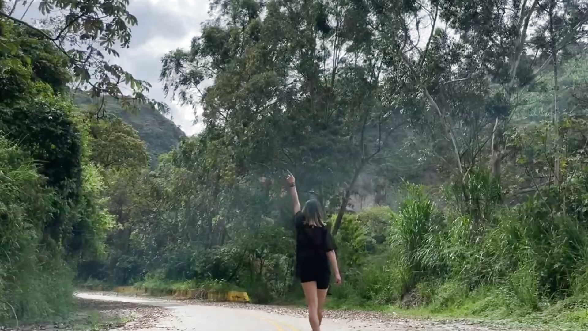 Landscape with trees - video by Colouristic cam model