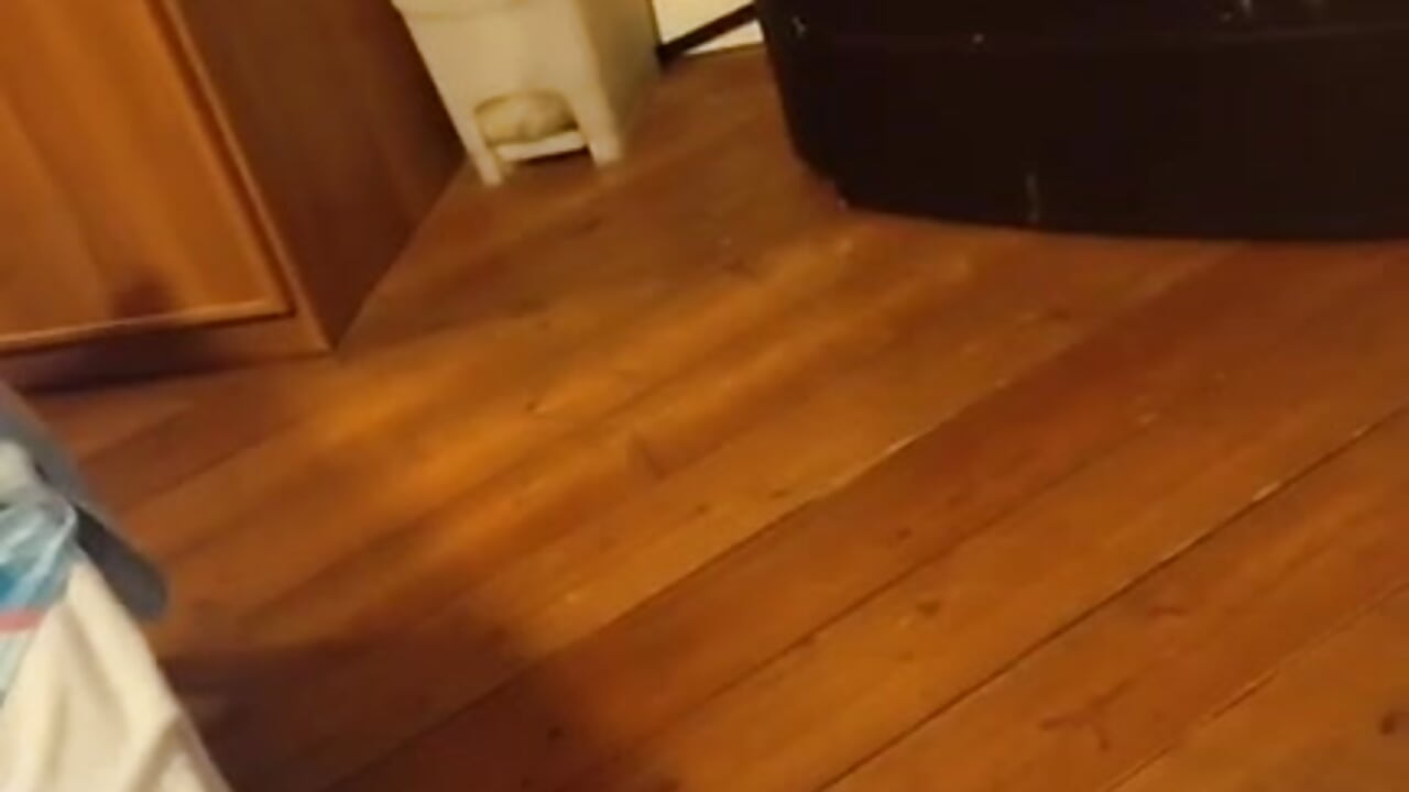 VID_20250802_113220_115 - video by woww791 cam model