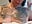 118. 🥵Geile neue Nippelpiercings (Fetisch) - Vídeo de InKed-Kathy