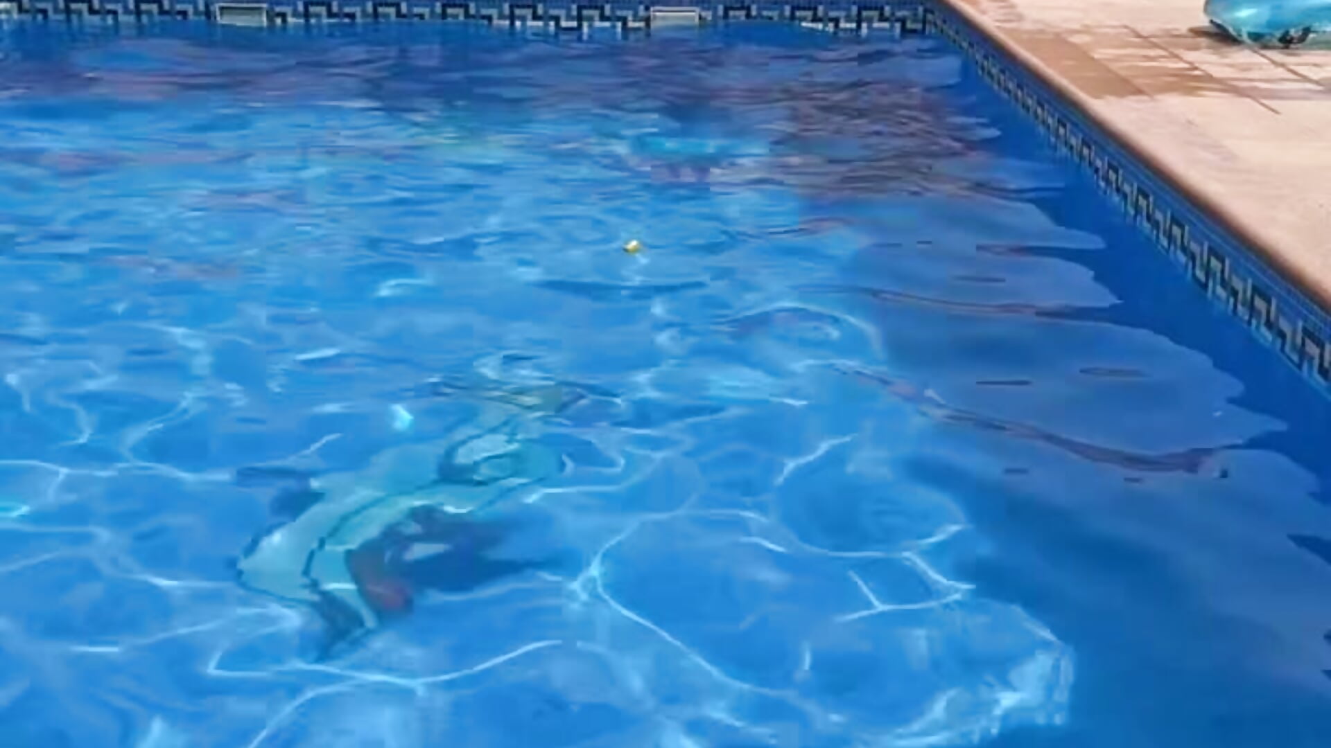 700. Hot naked Pool Jump 4.0