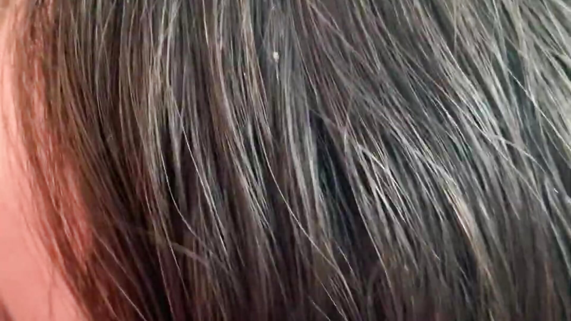 Sz1Knobi GpMordue - video by SuzieWanKenobi cam model