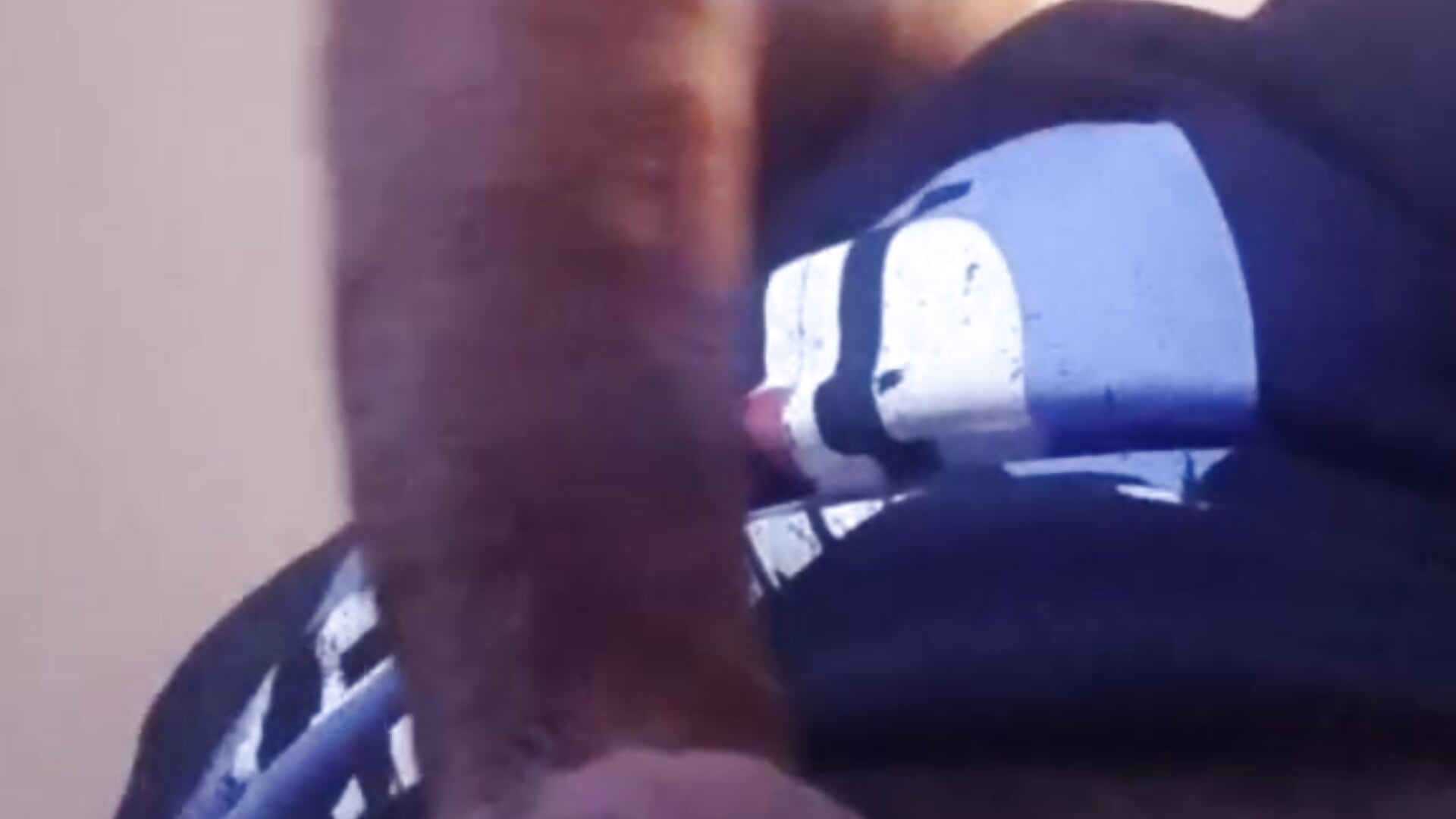 VID_20221127_002328_796 - video by Roman0798 cam model