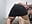 Farting under skirt, toys in ass and prolapse, close view - video by Love-Banaxy cam model