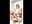 Ride on dildo and intense squirt - video by Love-Banaxy cam model