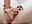 Three dildos in the pussy and squirt close up - video by Love-Banaxy cam model