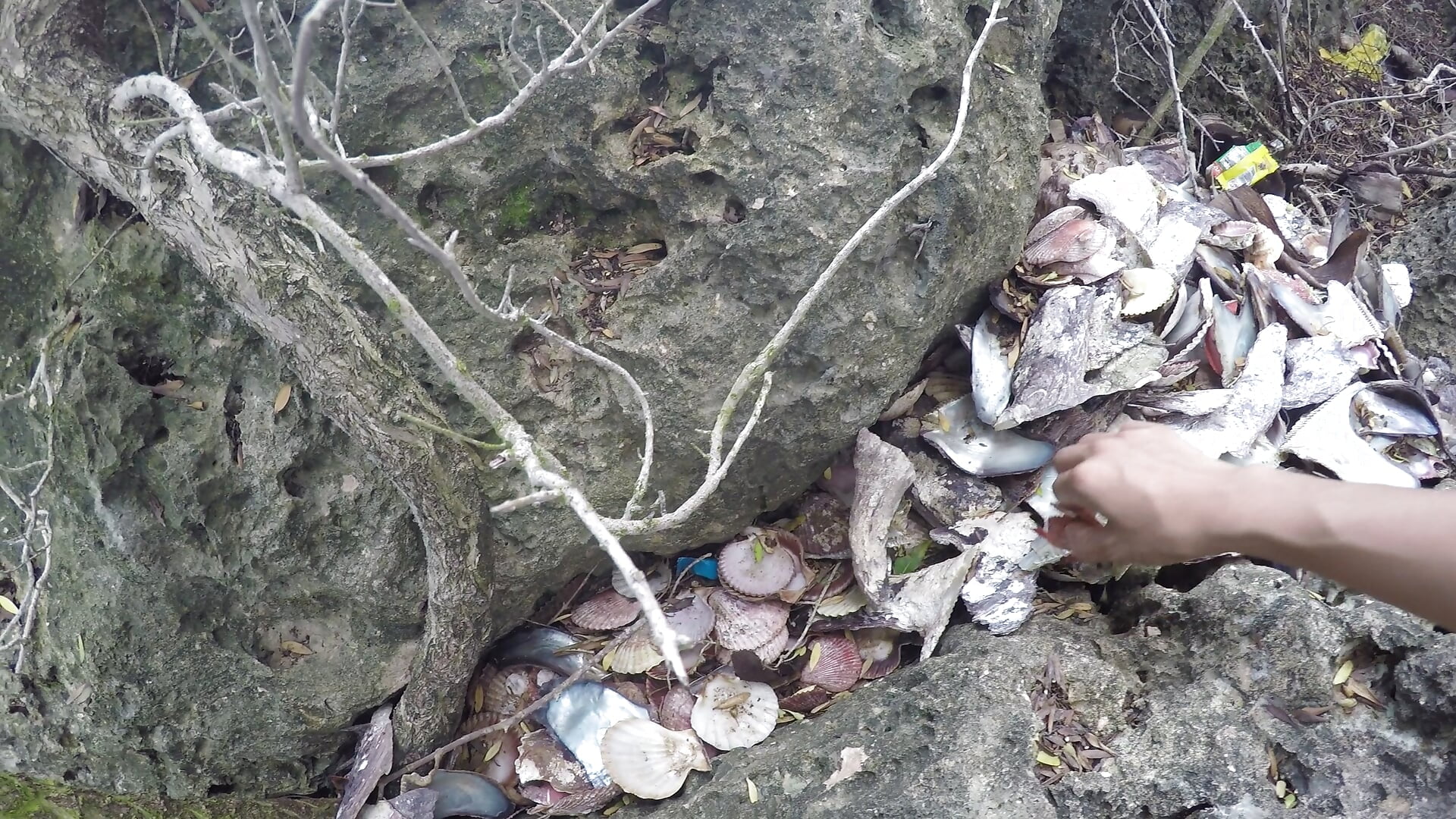 Beautiful  princess collecting  seashell on the nature. - video của người mẫu cam Asexycook4Ubananas