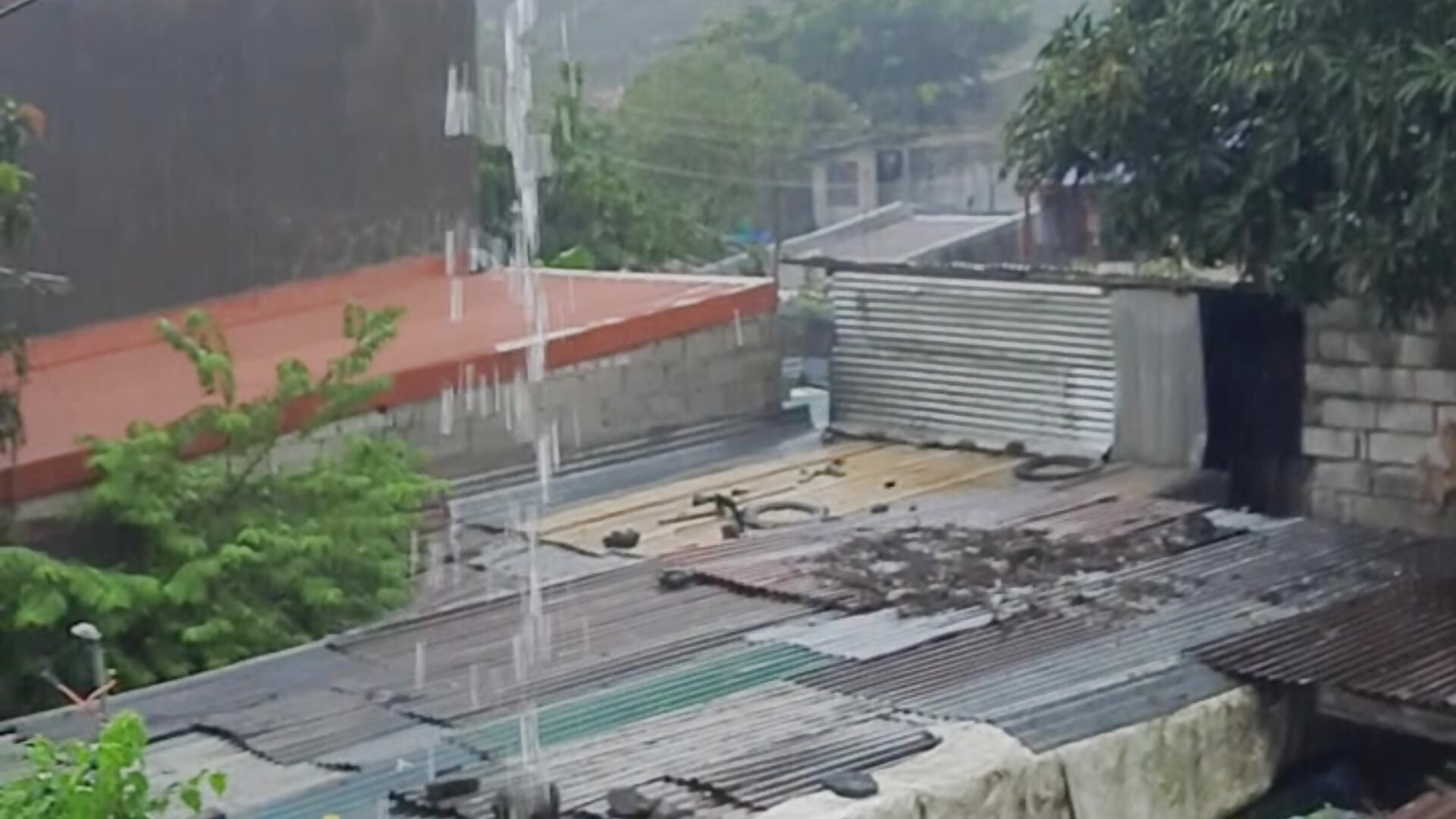 My place is still under big typhoon I wish all to be safe. - video của người mẫu cam Asexycook4Ubananas