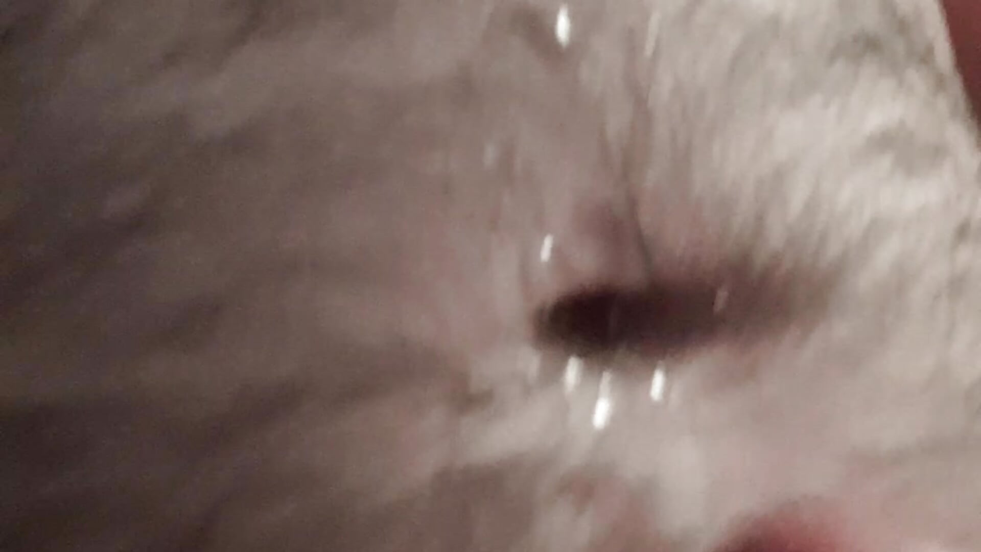 After Jizz - video by pleasure_ability cam model