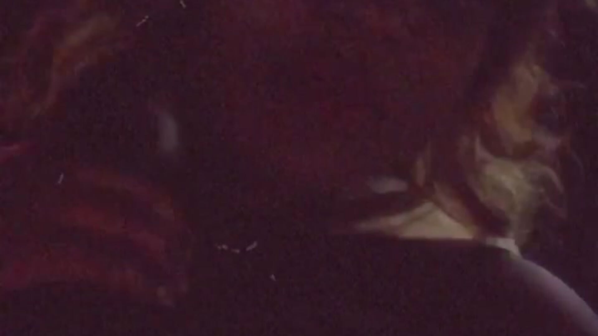 On My Way To Dinner - video by TrinaFoxx cam model