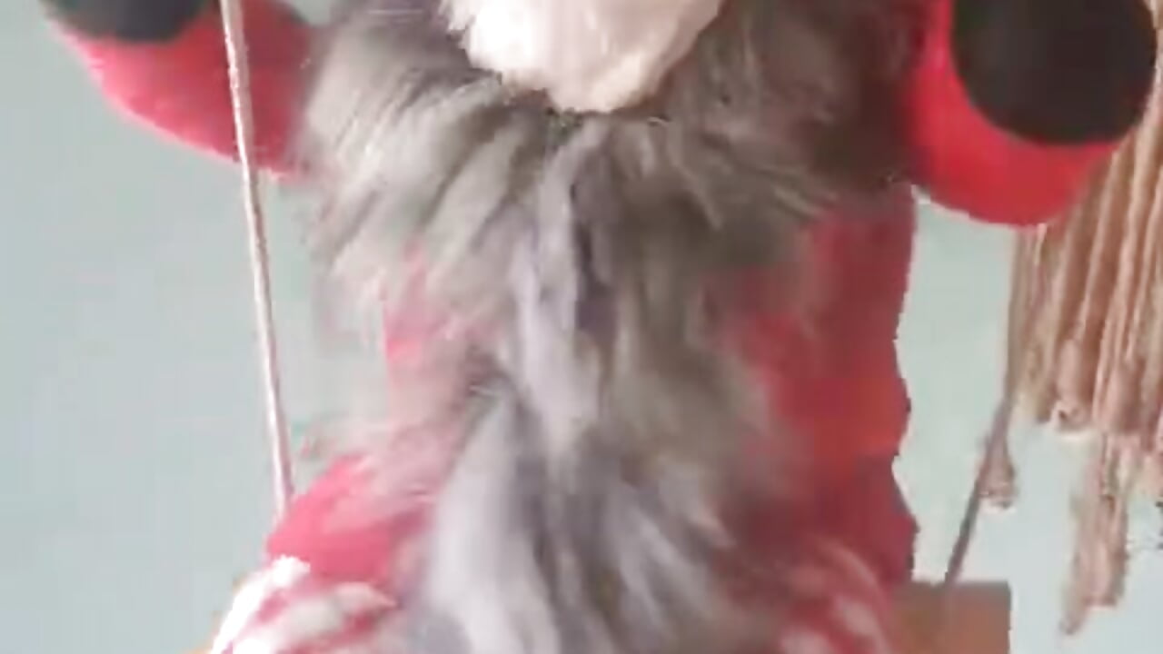 A playful little rascal has dropped by your home to lift your spirits and add a touch of positivity. – video modela na kameri 77Sambuca77