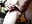 horny for you bb - mariam1974 的视频