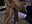 Lou and MR M doggy - XXX-Video von LukeLouHarvey