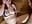Blair And GingerSnap33 Play In The Sauna With A Double Ended Dildo And Tease Each - video by TheCrimsonLounge cam model
