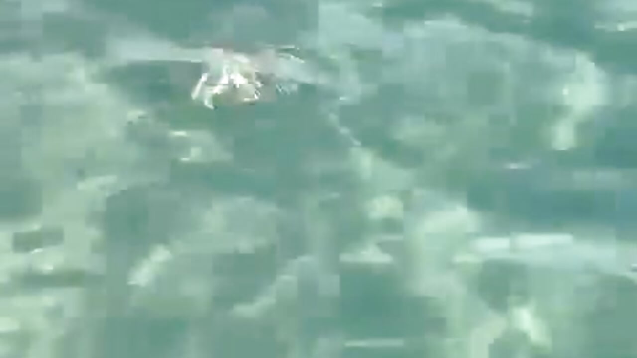 Egypt) - video oleh Ivanka_sss kamera model