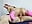 Fucking For Hours Because I'm A Naughty Girl (Long Video) - LoveLibraLove 的视频