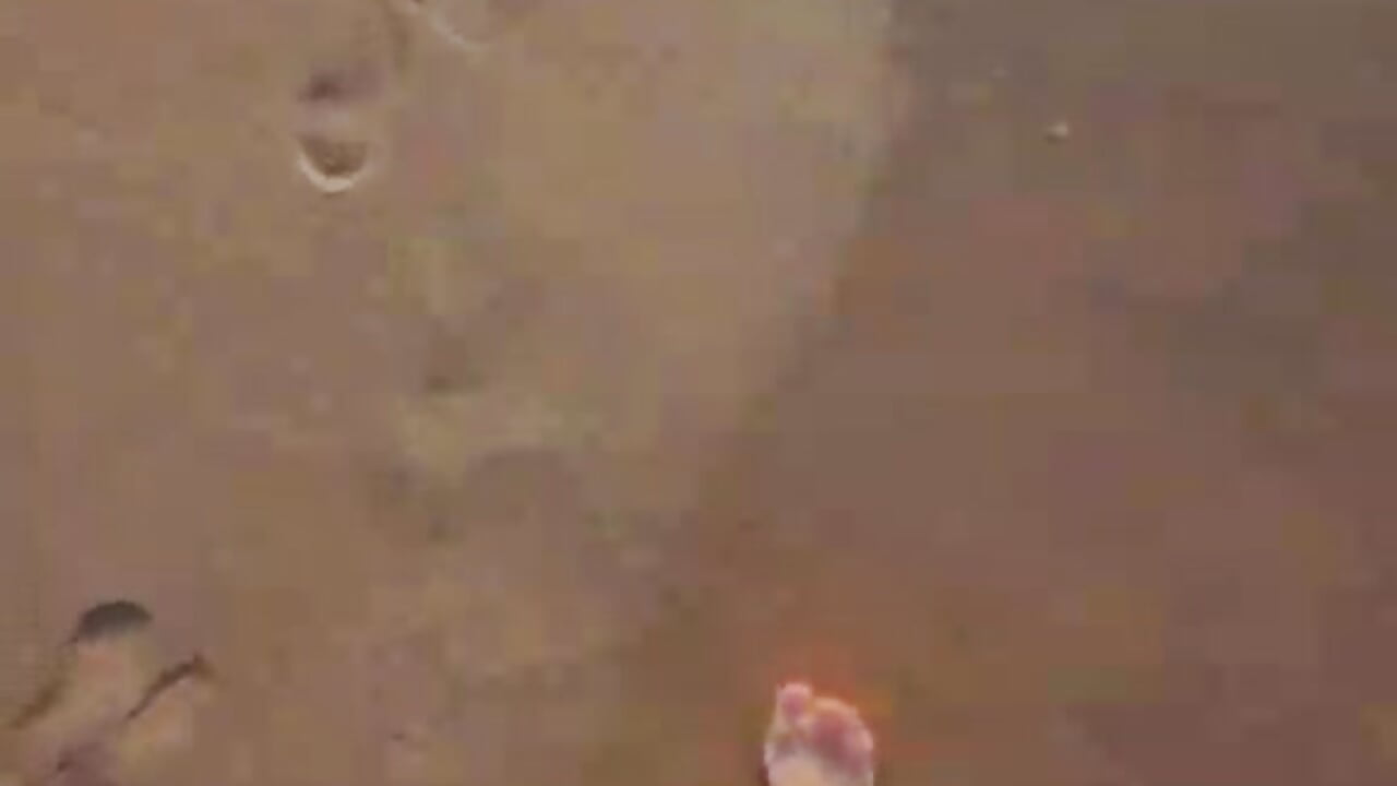 Vitamin sea for my holy feet and legs! - video by MissVanessa0 cam model