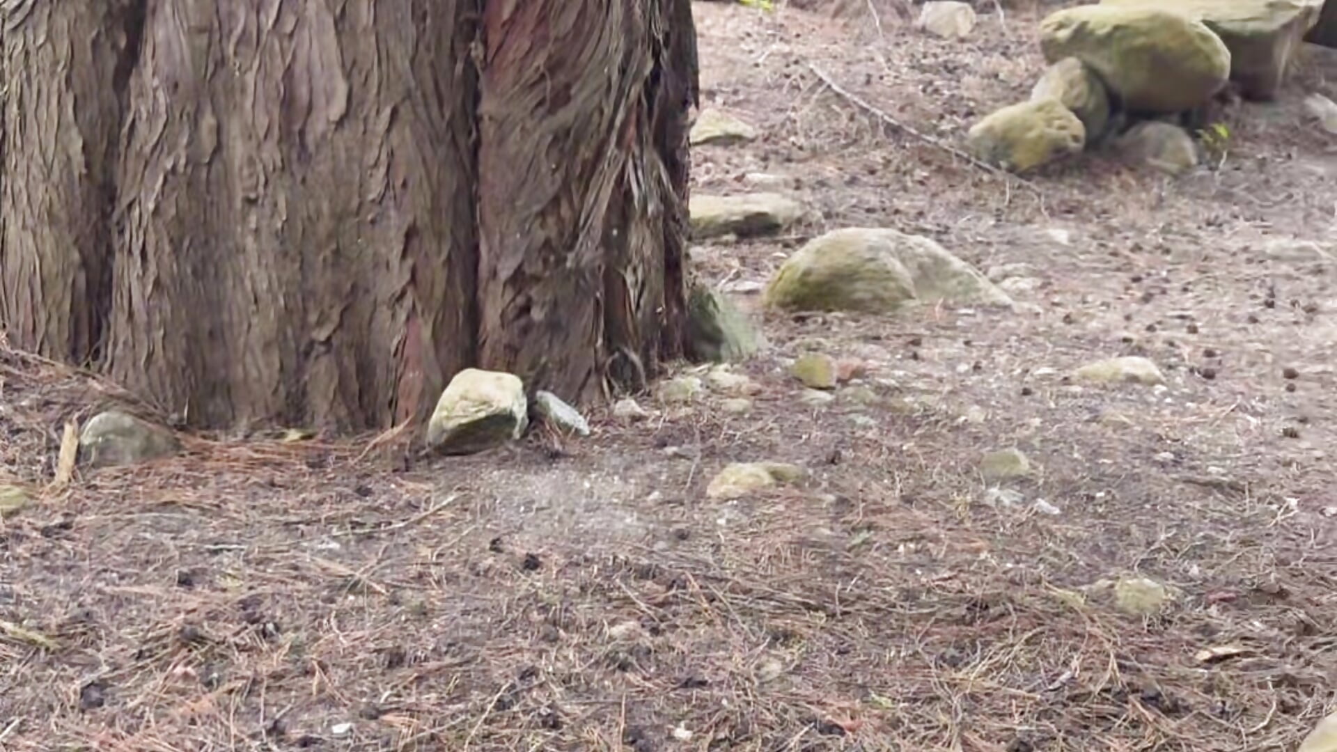 Relax feet – видео вебкам-модели kendrarioss