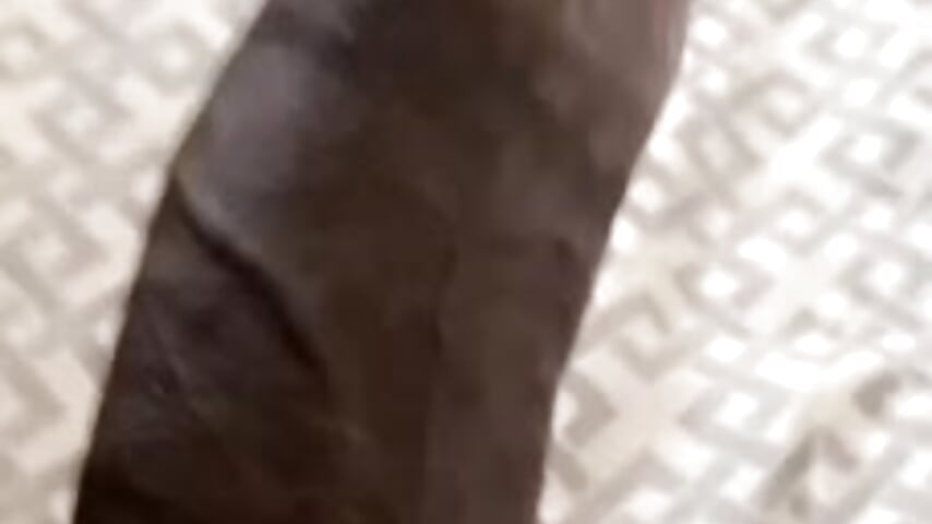 Morning Wood - vídeo de la modelo de cam flacko_blacc