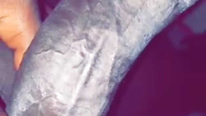 Veiny Snicker Bar - vídeo de la modelo de cam flacko_blacc