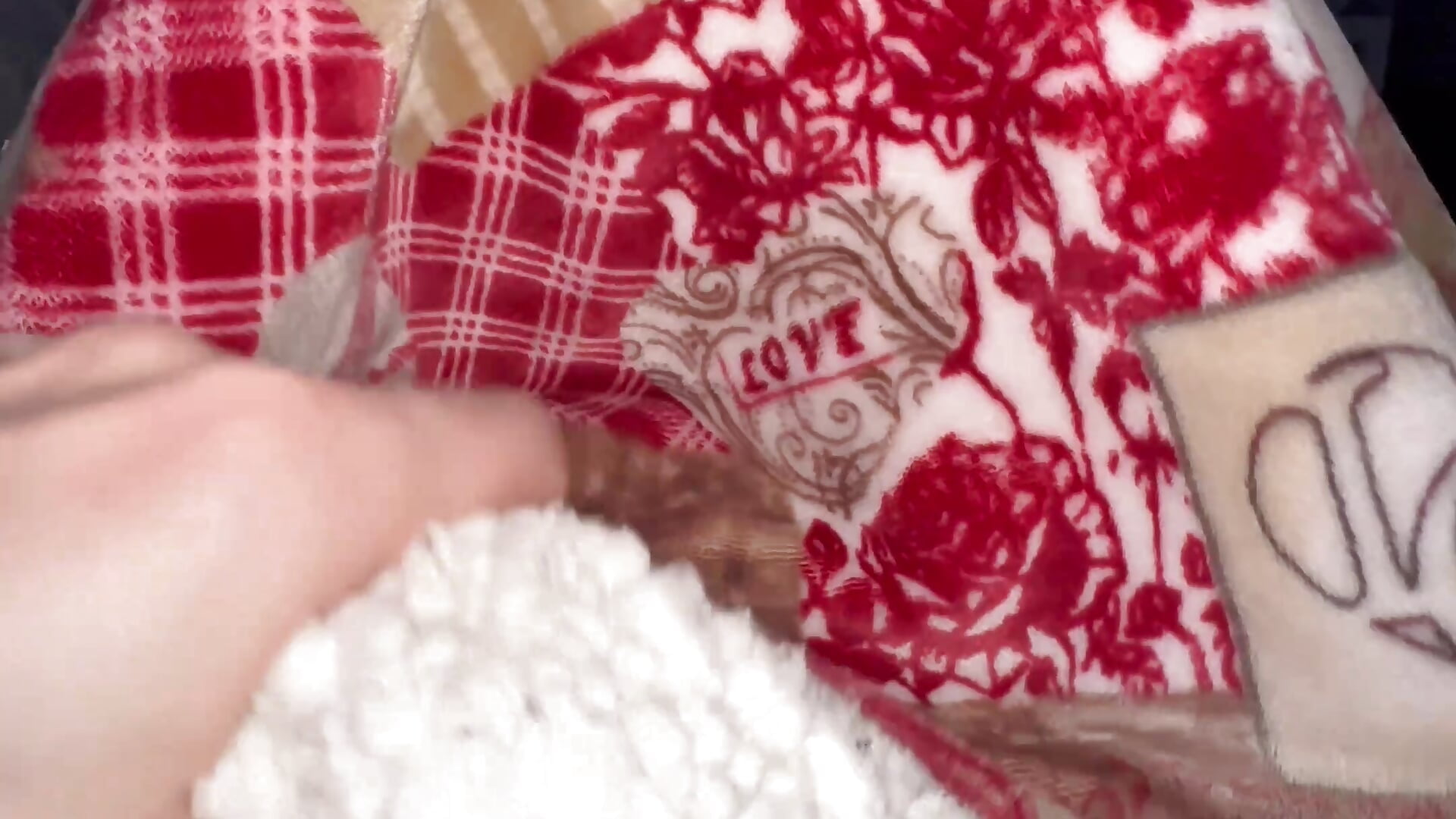 ✨ Finally, it’s time for the Christmas Blanket… 🎄💋 - EvaWelly 캠 모델의 동영상