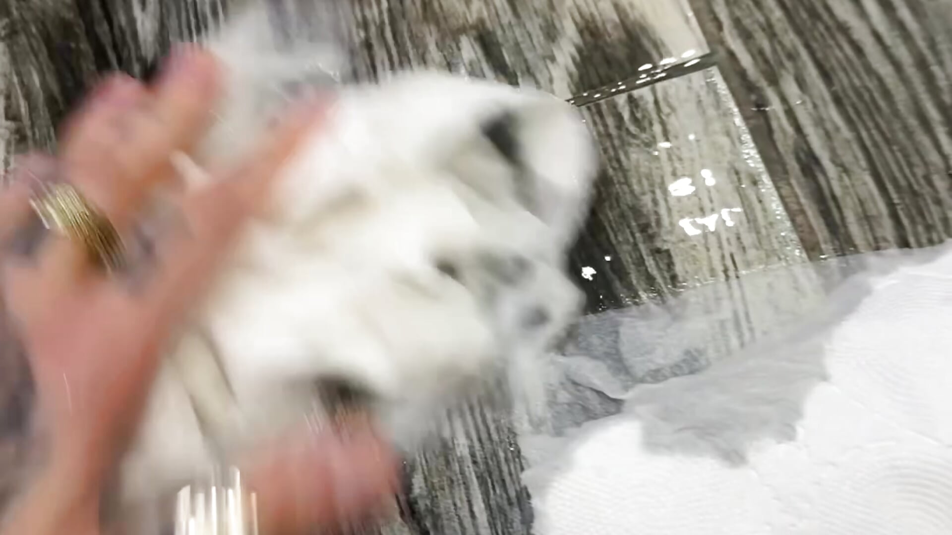 do you love it when my pussy makes a mega squirt? vibrate her I will surprise you– Cool_Freak_ kameramodell videója