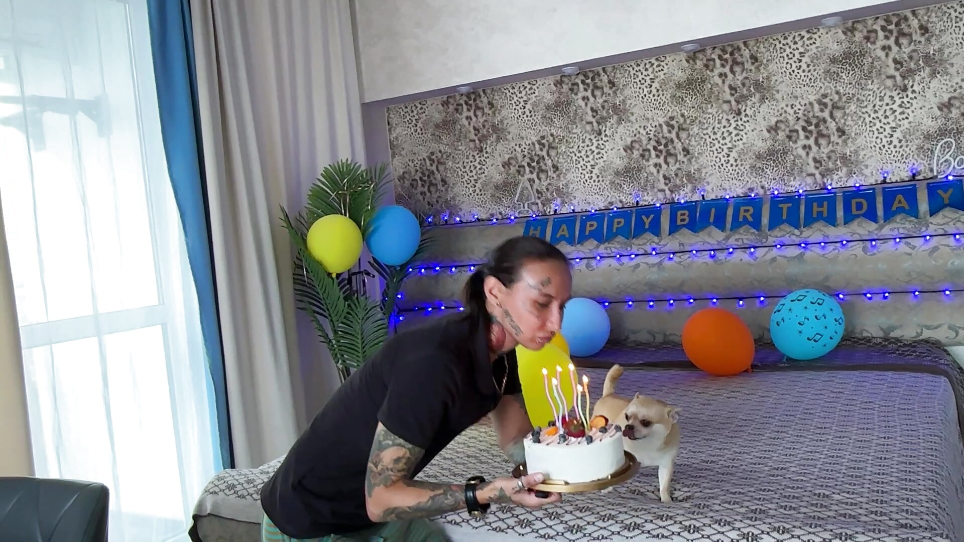 I turned 38 today, my dog is 8 years old. As it turned out, our birthday is the same